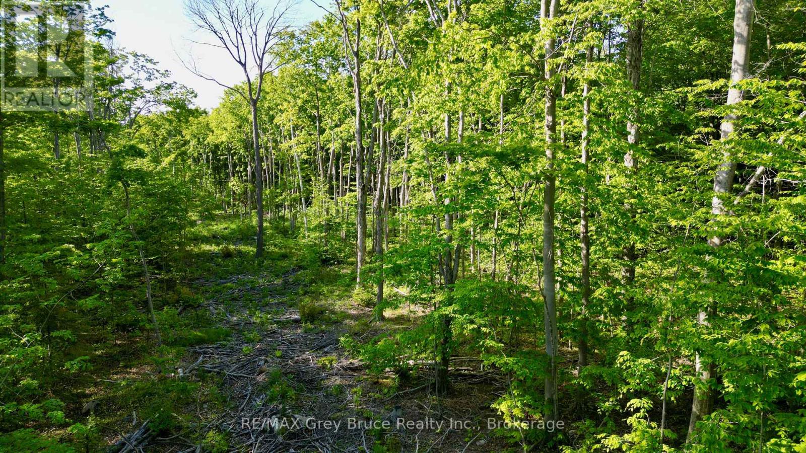 R96870 - 150 Clarkes Road E, Northern Bruce Peninsula, Ontario  N0H 1W0 - Photo 25 - X13250362