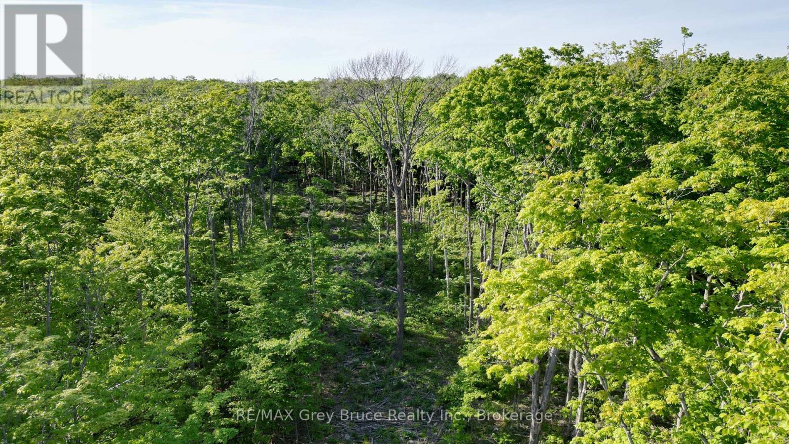 R96870 - 150 Clarkes Road E, Northern Bruce Peninsula, Ontario  N0H 1W0 - Photo 26 - X13250362