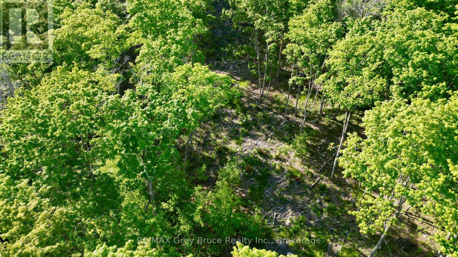R96870 - 150 Clarkes Road E, Northern Bruce Peninsula, Ontario  N0H 1W0 - Photo 27 - X13250362