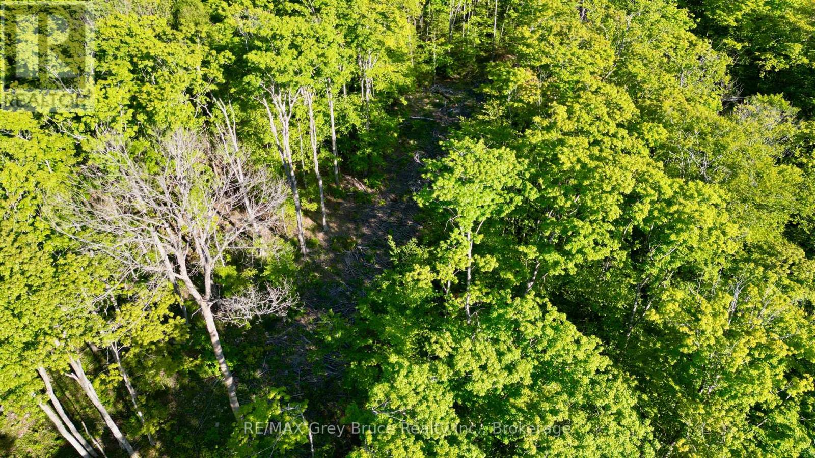 R96870 - 150 Clarkes Road E, Northern Bruce Peninsula, Ontario  N0H 1W0 - Photo 28 - X13250362
