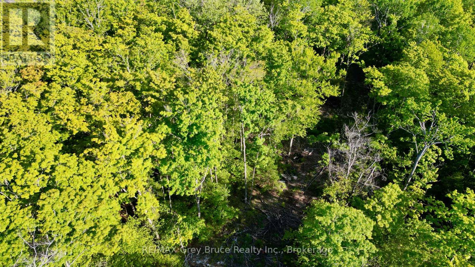 R96870 - 150 Clarkes Road E, Northern Bruce Peninsula, Ontario  N0H 1W0 - Photo 29 - X13250362