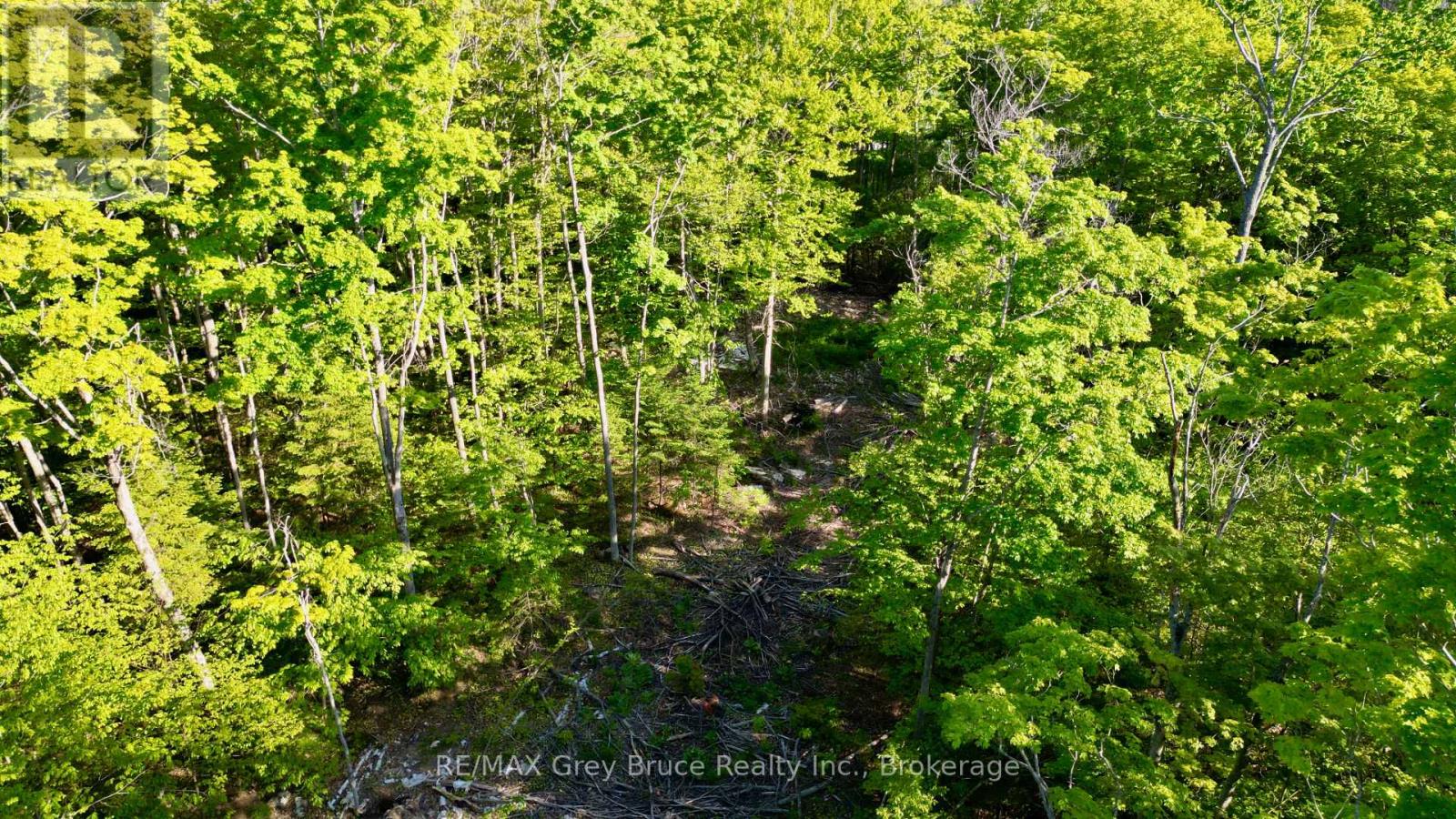 R96870 - 150 Clarkes Road E, Northern Bruce Peninsula, Ontario  N0H 1W0 - Photo 30 - X13250362