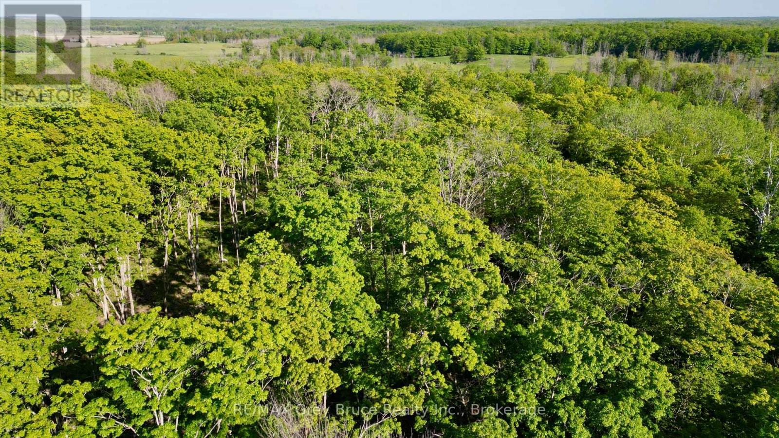 R96870 - 150 Clarkes Road E, Northern Bruce Peninsula, Ontario  N0H 1W0 - Photo 31 - X13250362