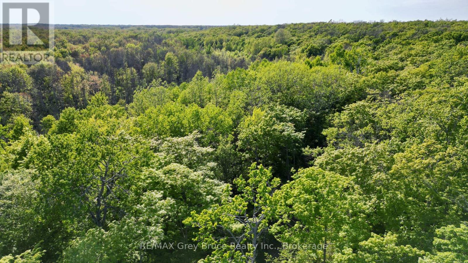 R96870 - 150 Clarkes Road E, Northern Bruce Peninsula, Ontario  N0H 1W0 - Photo 32 - X13250362