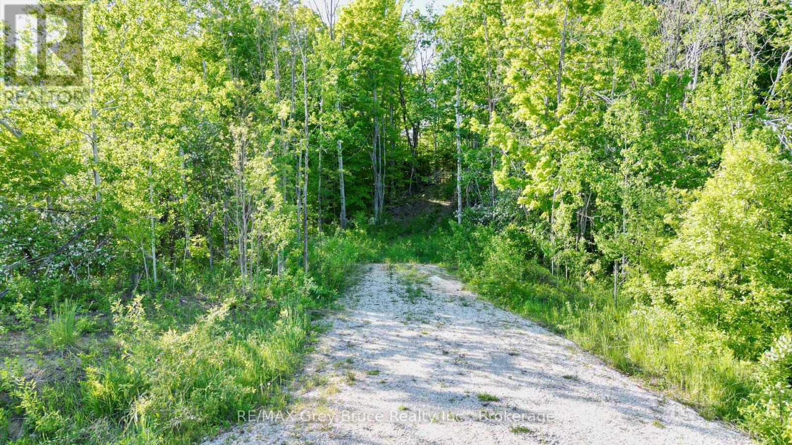 R96870 - 150 Clarkes Road E, Northern Bruce Peninsula, Ontario  N0H 1W0 - Photo 6 - X13250362