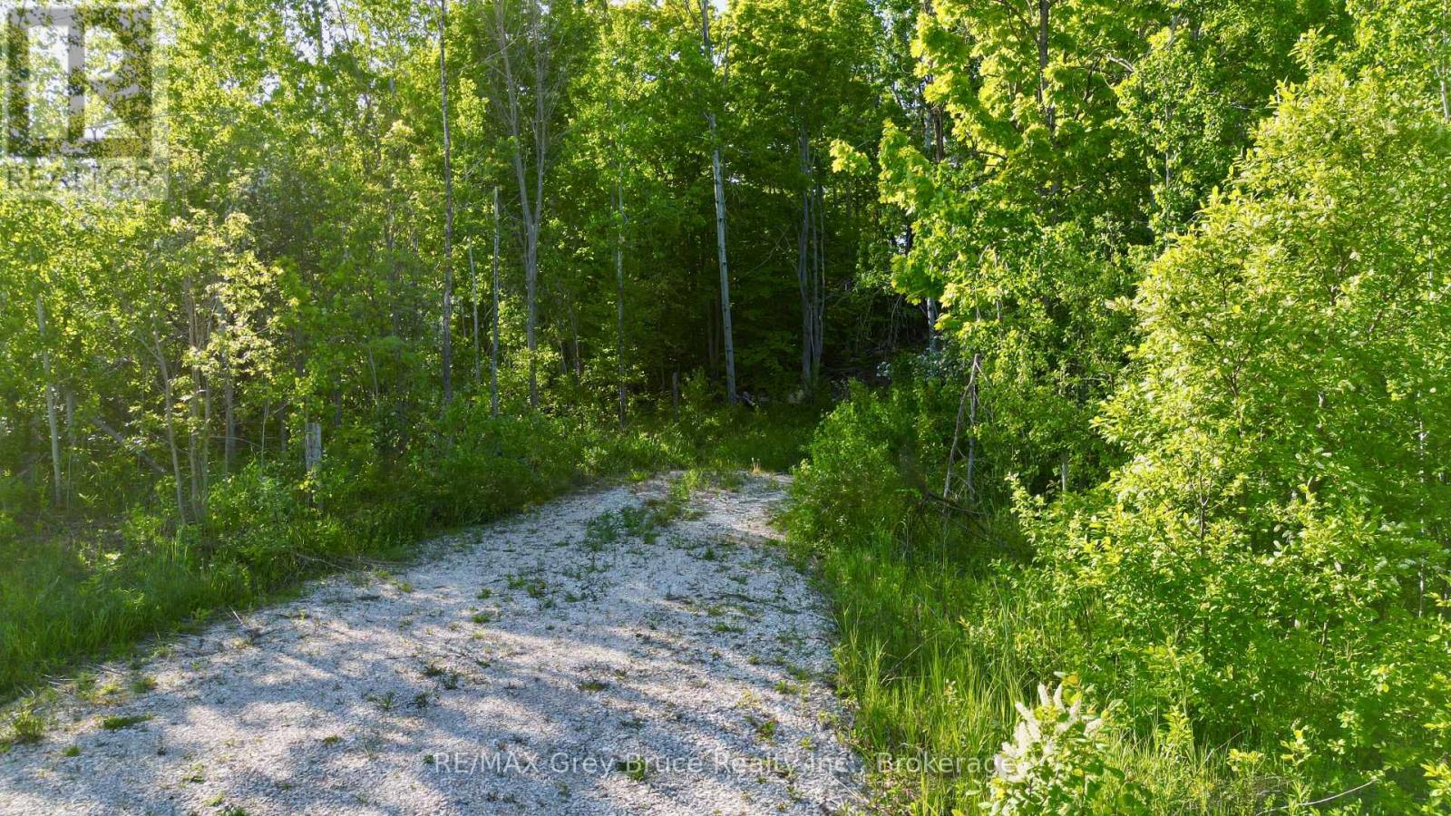 R96870 - 150 Clarkes Road E, Northern Bruce Peninsula, Ontario  N0H 1W0 - Photo 7 - X13250362