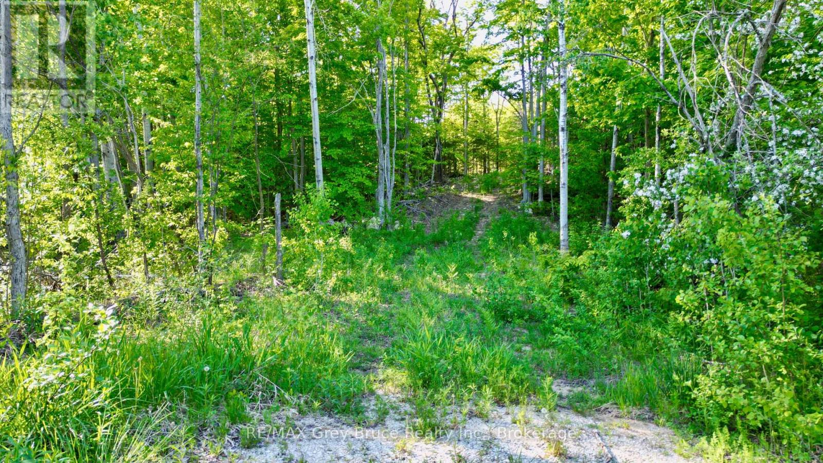R96870 - 150 Clarkes Road E, Northern Bruce Peninsula, Ontario  N0H 1W0 - Photo 8 - X13250362