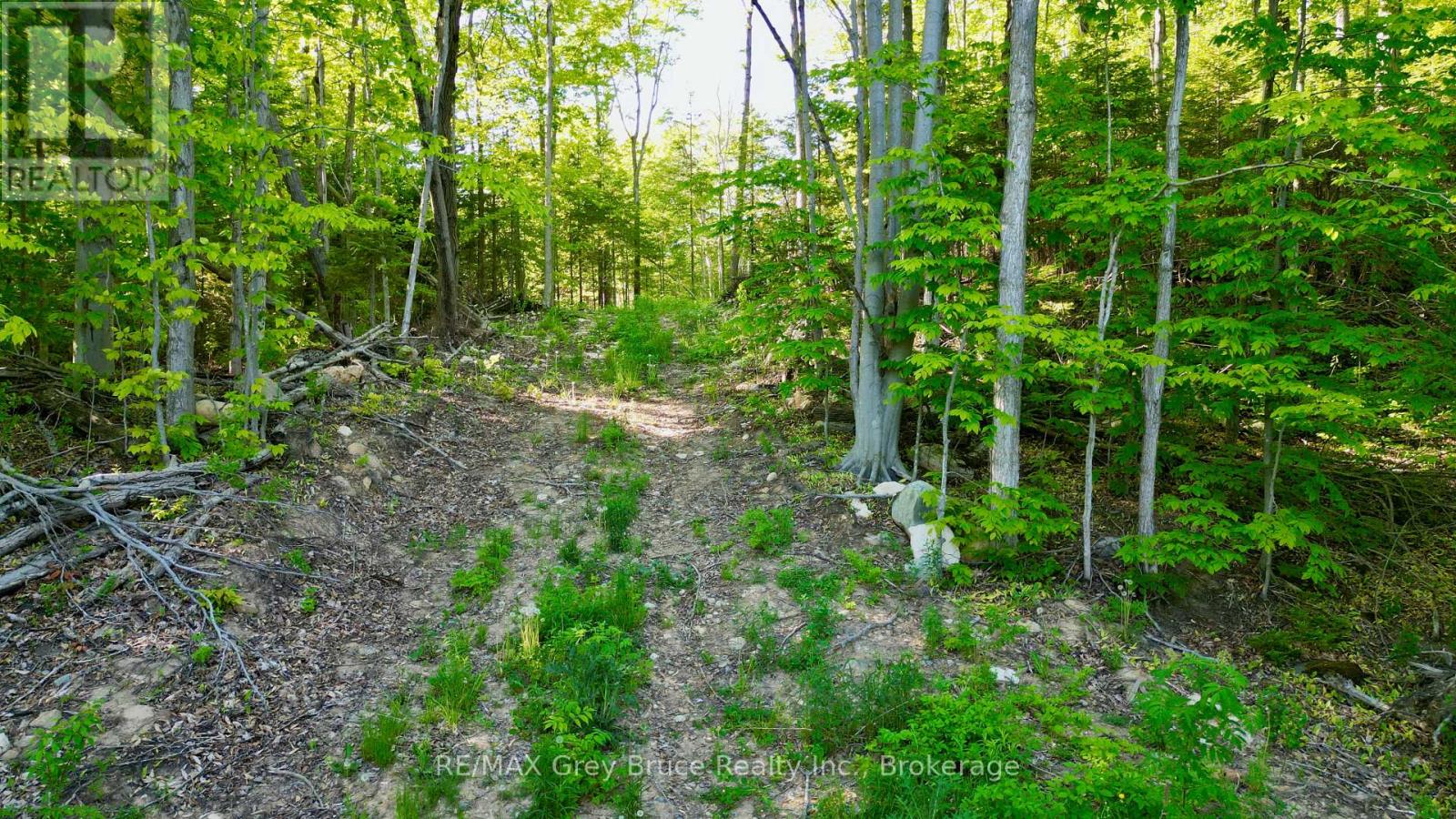 R96870 - 150 Clarkes Road E, Northern Bruce Peninsula, Ontario  N0H 1W0 - Photo 9 - X13250362