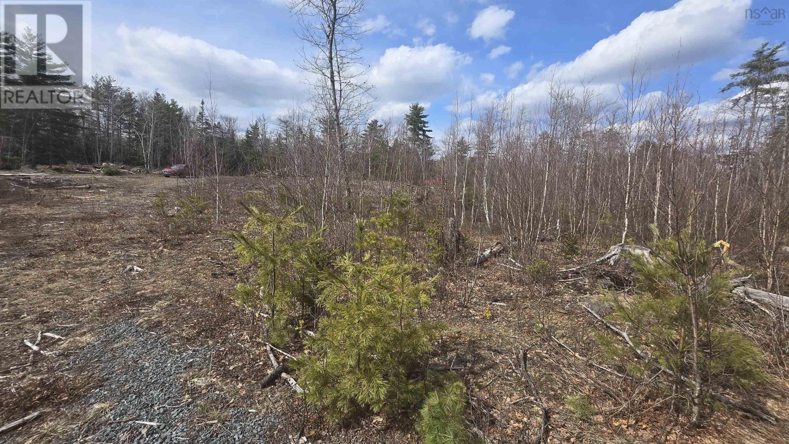 Lot 25-1 Upper Branch Road, Midville Branch, Nova Scotia  B4V 4T1 - Photo 5 - 202606928