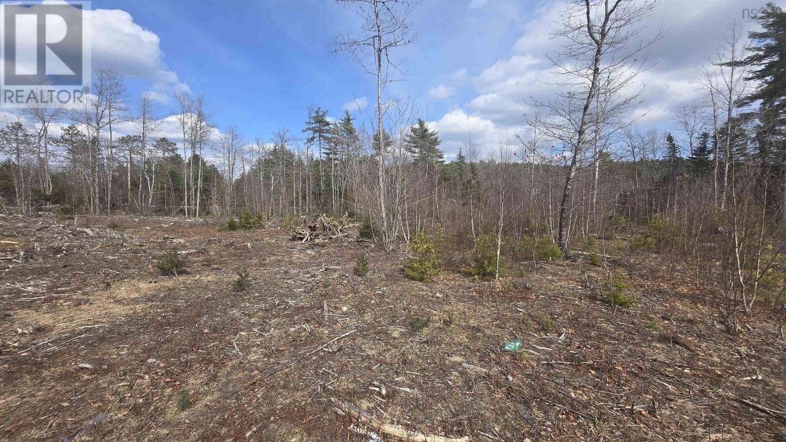 Lot 25-1 Upper Branch Road, Midville Branch, Nova Scotia  B4V 4T1 - Photo 1 - 202606928