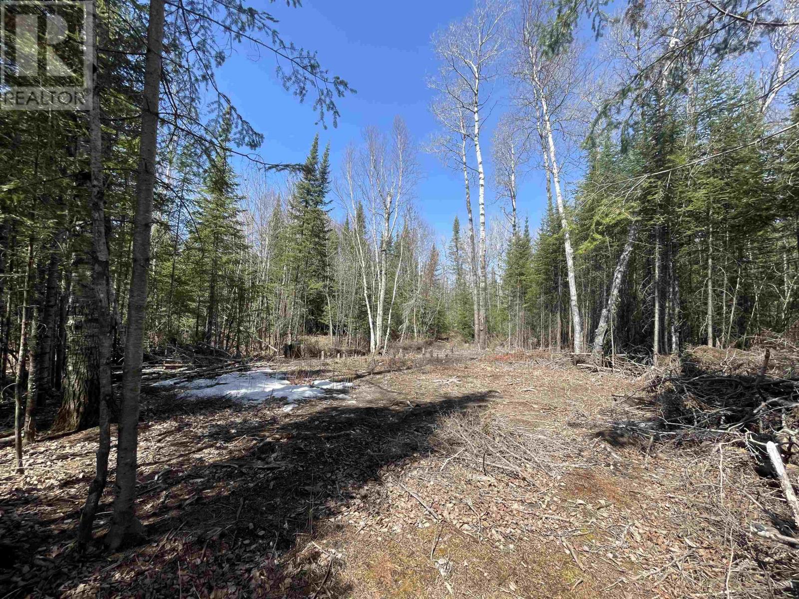 351 Thunder Lake Rd, Dryden, Ontario  P8N 2Y4 - Photo 5 - TB2601000