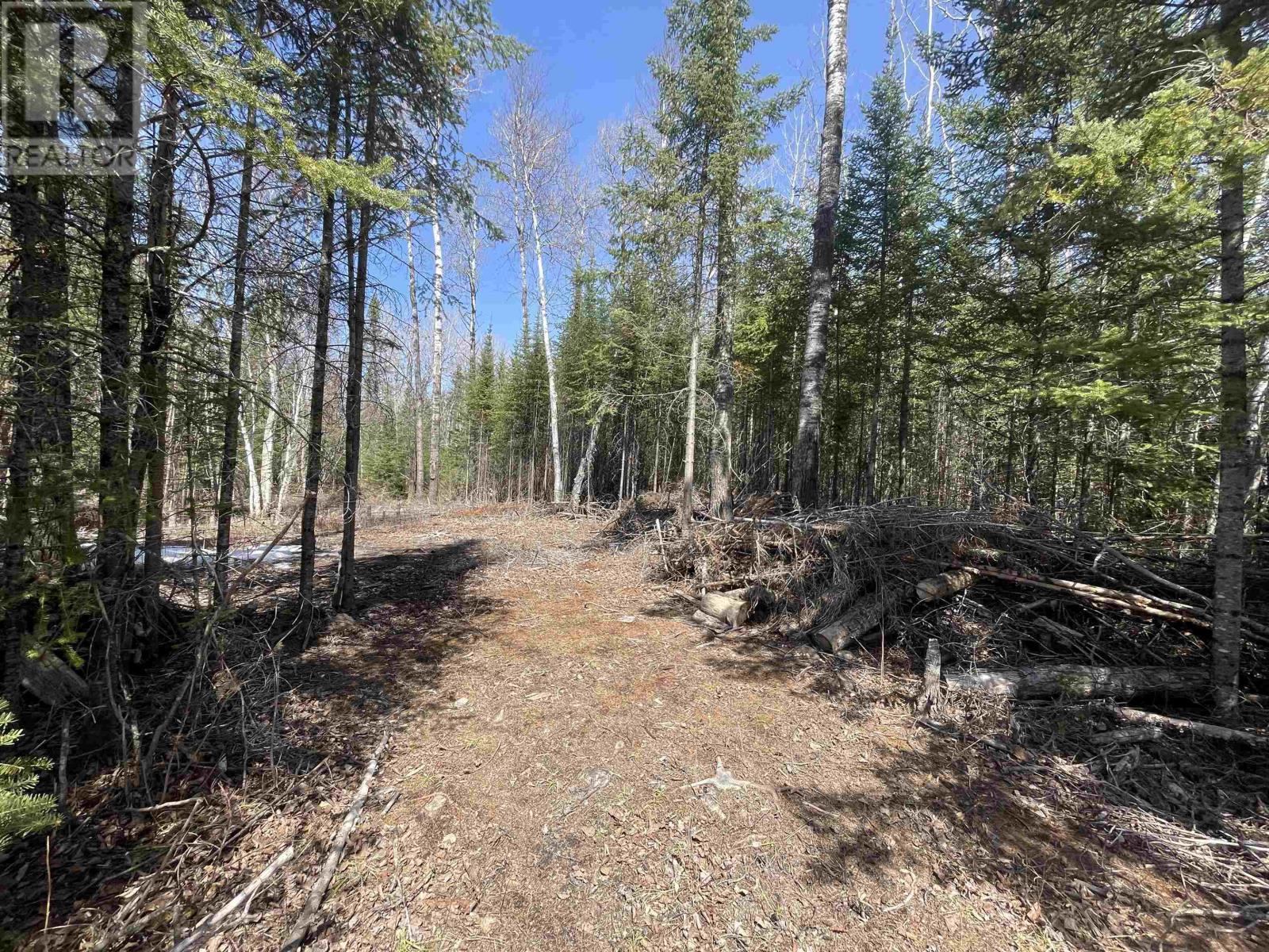 351 Thunder Lake Rd, Dryden, Ontario  P8N 2Y4 - Photo 6 - TB2601000