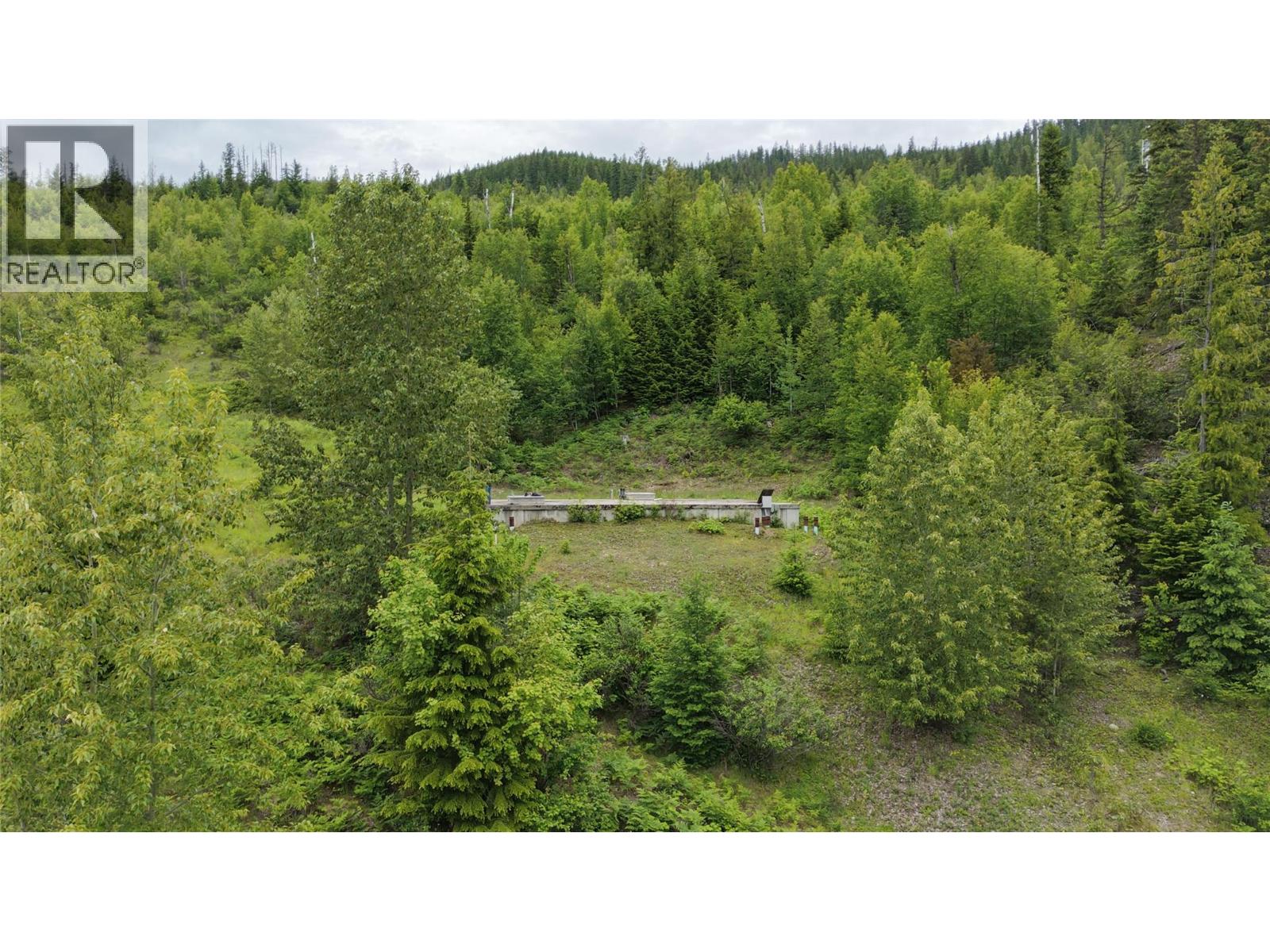 5360 6 Highway, Rosebery, British Columbia V0G 1S1 - Photo 10 - 10390213