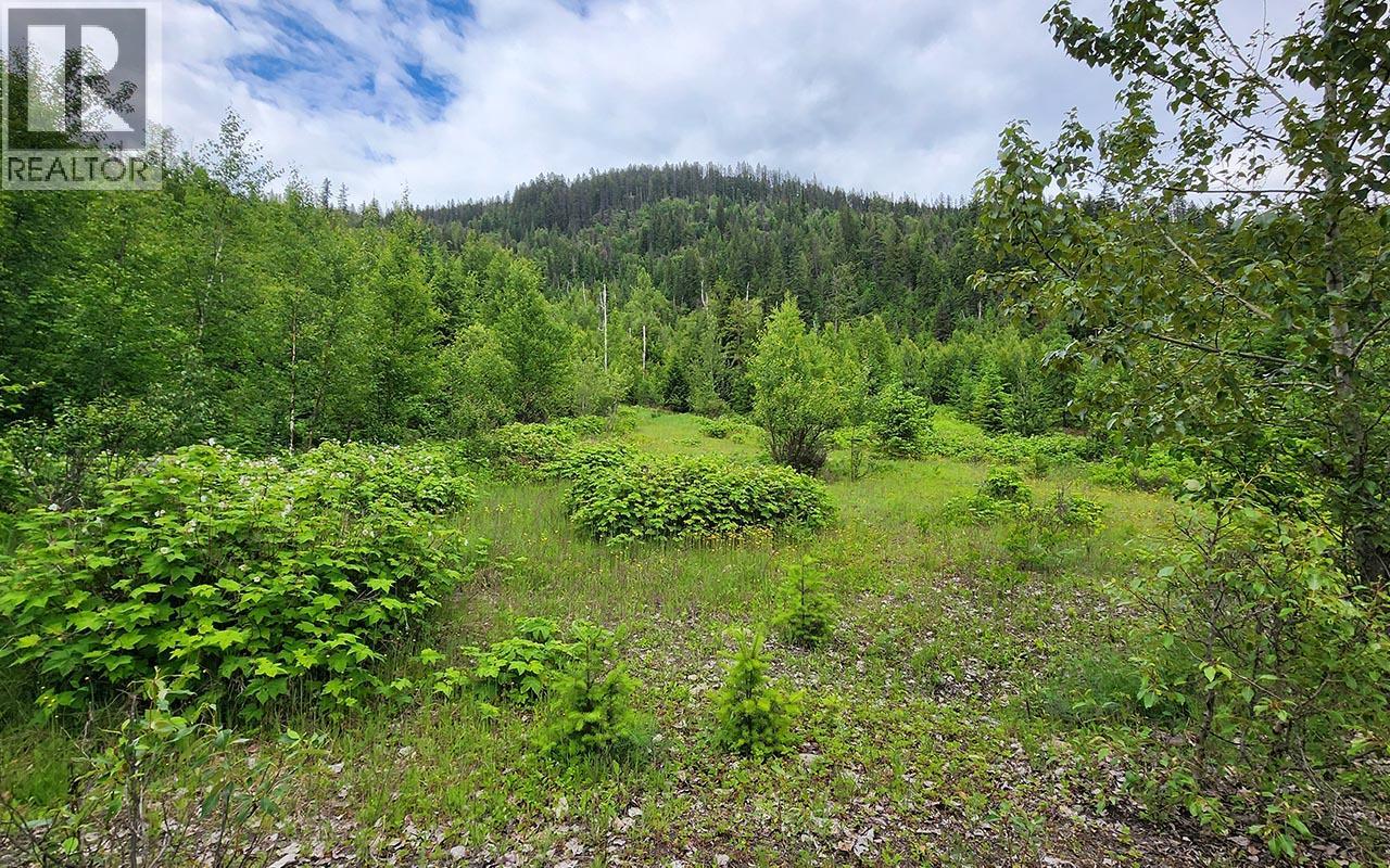 5360 6 Highway, Rosebery, British Columbia V0G 1S1 - Photo 13 - 10390213