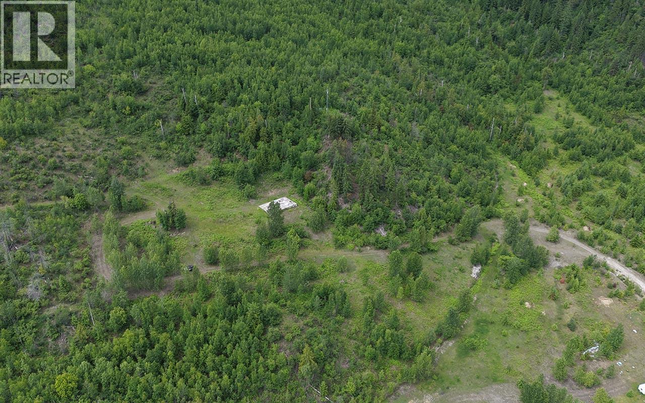5360 6 Highway, Rosebery, British Columbia V0G 1S1 - Photo 9 - 10390213