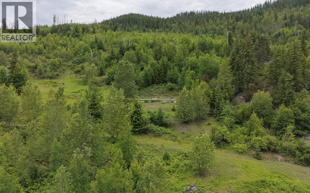 5360 6 Highway, Rosebery, British Columbia V0G 1S1 - Photo 11 - 10390213