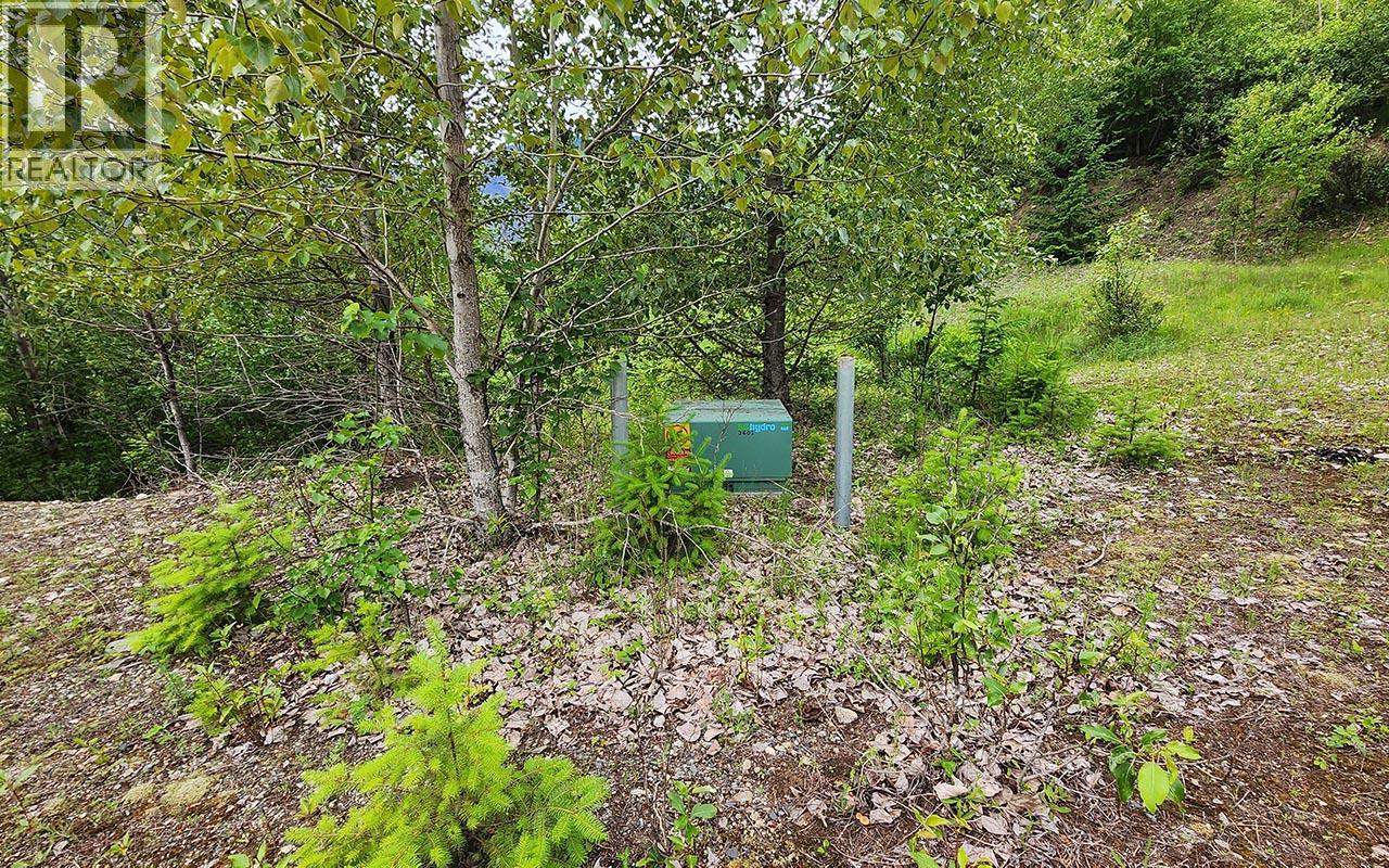 5360 6 Highway, Rosebery, British Columbia V0G 1S1 - Photo 15 - 10390213