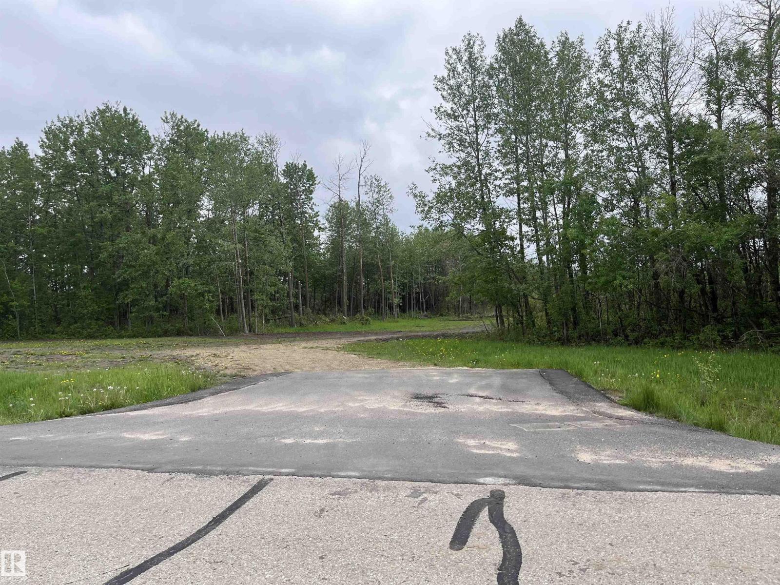 103 Riverbend Rd, Rural Sturgeon County, Alberta  T0G 0J0 - Photo 4 - E4489769