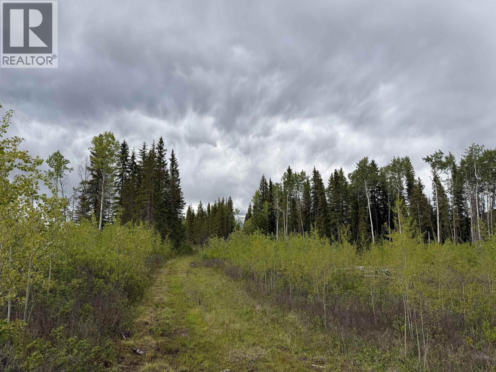 Dl 706 Walcott Road, Telkwa, British Columbia  V0J 2X2 - Photo 10 - R3132864