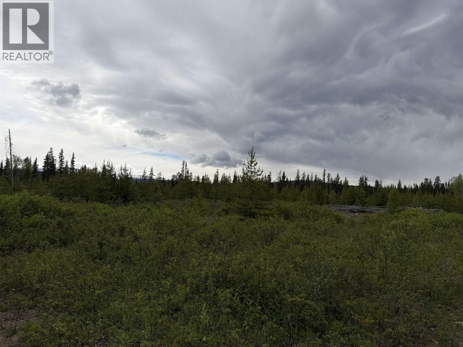 Dl 706 Walcott Road, Telkwa, British Columbia  V0J 2X2 - Photo 2 - R3132864