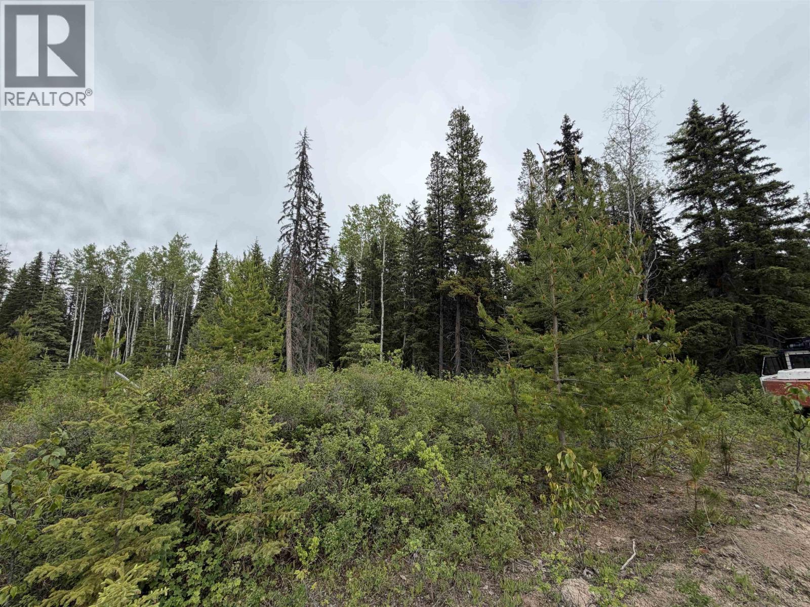 Dl 706 Walcott Road, Telkwa, British Columbia  V0J 2X2 - Photo 4 - R3132864