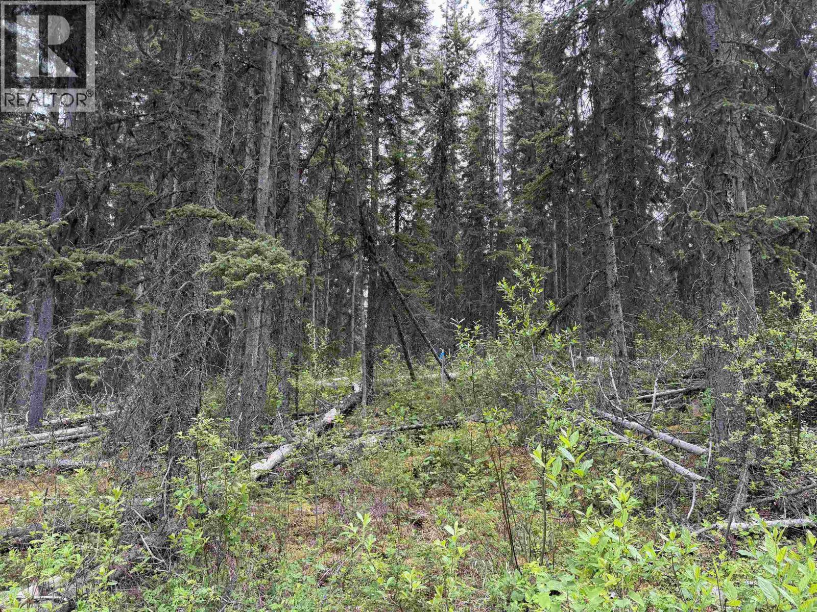 Dl 706 Walcott Road, Telkwa, British Columbia  V0J 2X2 - Photo 7 - R3132864