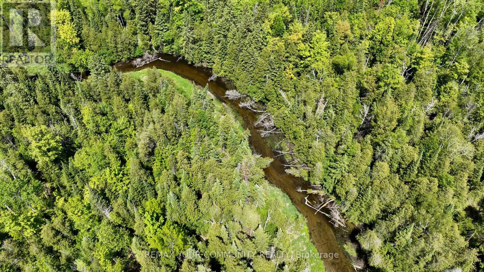 574 Zephyr Rd, Uxbridge, Ontario  L9P 1R2 - Photo 6 - N13171304