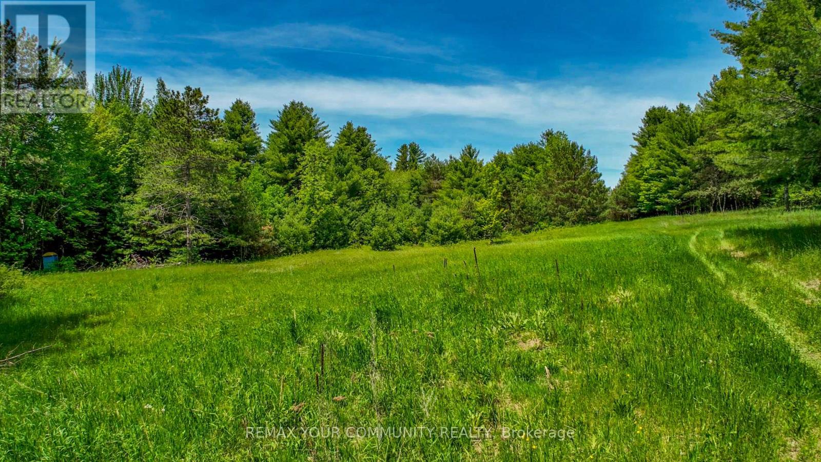 574 Zephyr Rd, Uxbridge, Ontario  L9P 1R2 - Photo 4 - N13171304