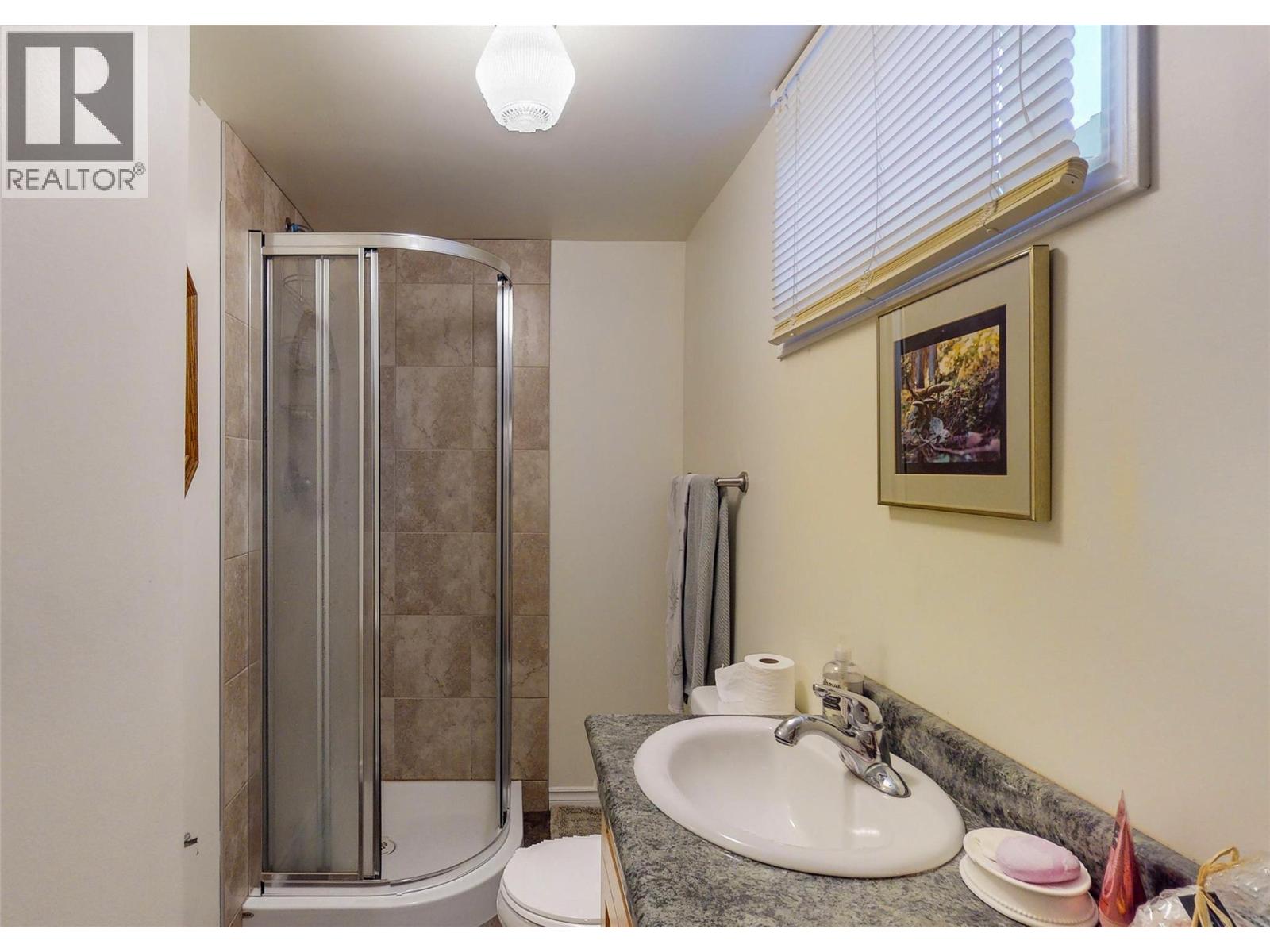 317 8th S Street, Cranbrook, British Columbia V1C 1P2 - Photo 18 - 10390329