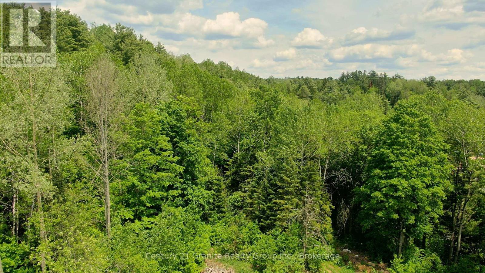 47 & 55 Cleak Avenue, Bancroft (Bancroft Ward), Ontario  K0L 1C0 - Photo 6 - X13251764