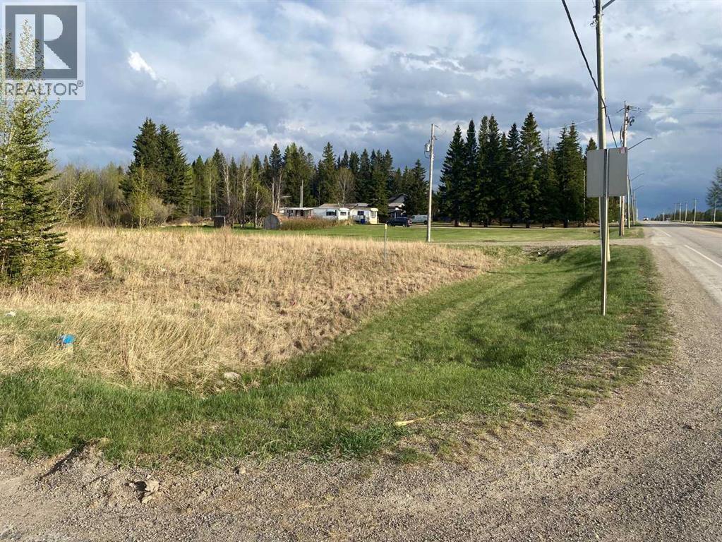 4515 62 Street, Rocky Mountain House, Alberta  T4T 1A8 - Photo 10 - A2318182