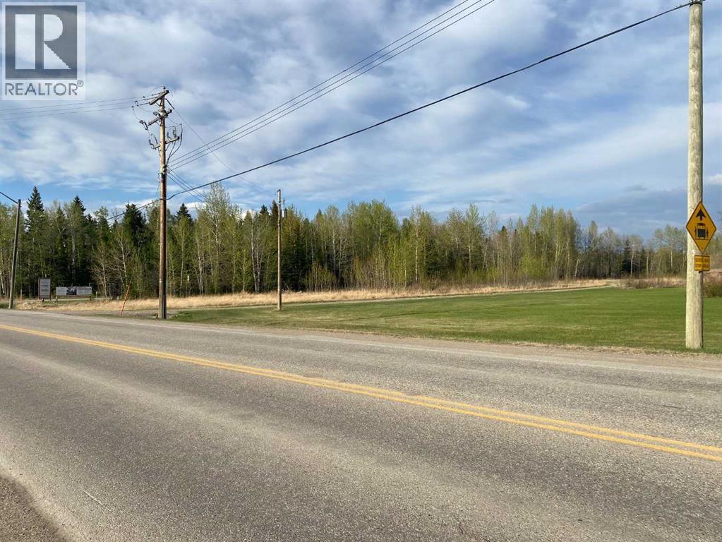 4515 62 Street, Rocky Mountain House, Alberta  T4T 1A8 - Photo 6 - A2318182