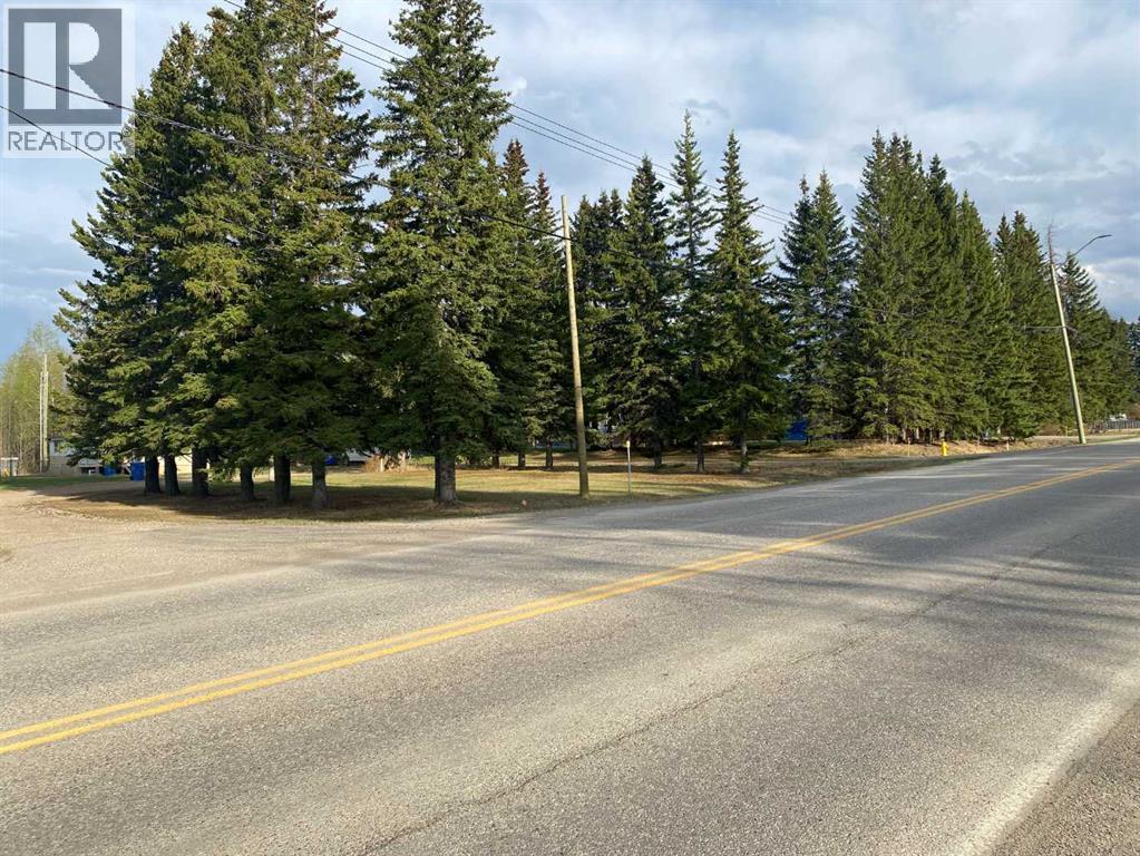 4515 62 Street, Rocky Mountain House, Alberta  T4T 1A8 - Photo 8 - A2318182