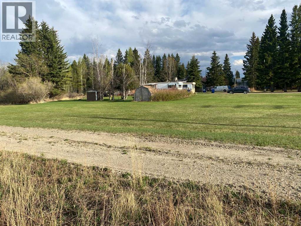 4515 62 Street, Rocky Mountain House, Alberta  T4T 1A8 - Photo 11 - A2318182