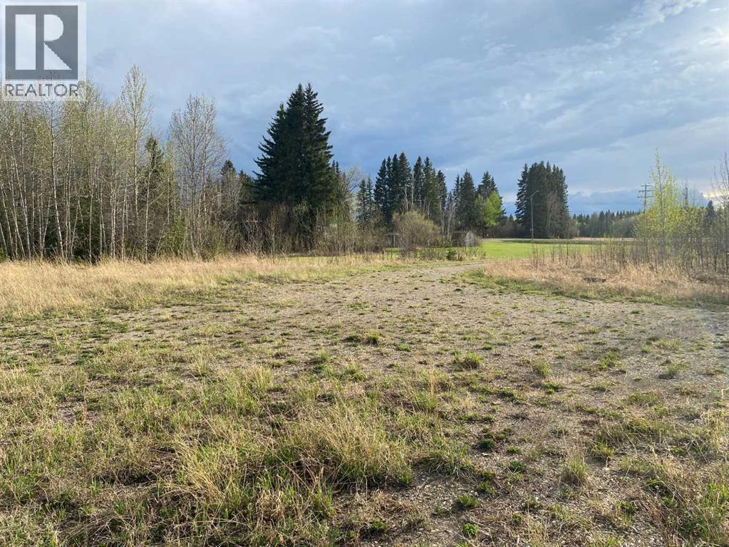 4515 62 Street, Rocky Mountain House, Alberta  T4T 1A8 - Photo 13 - A2318182