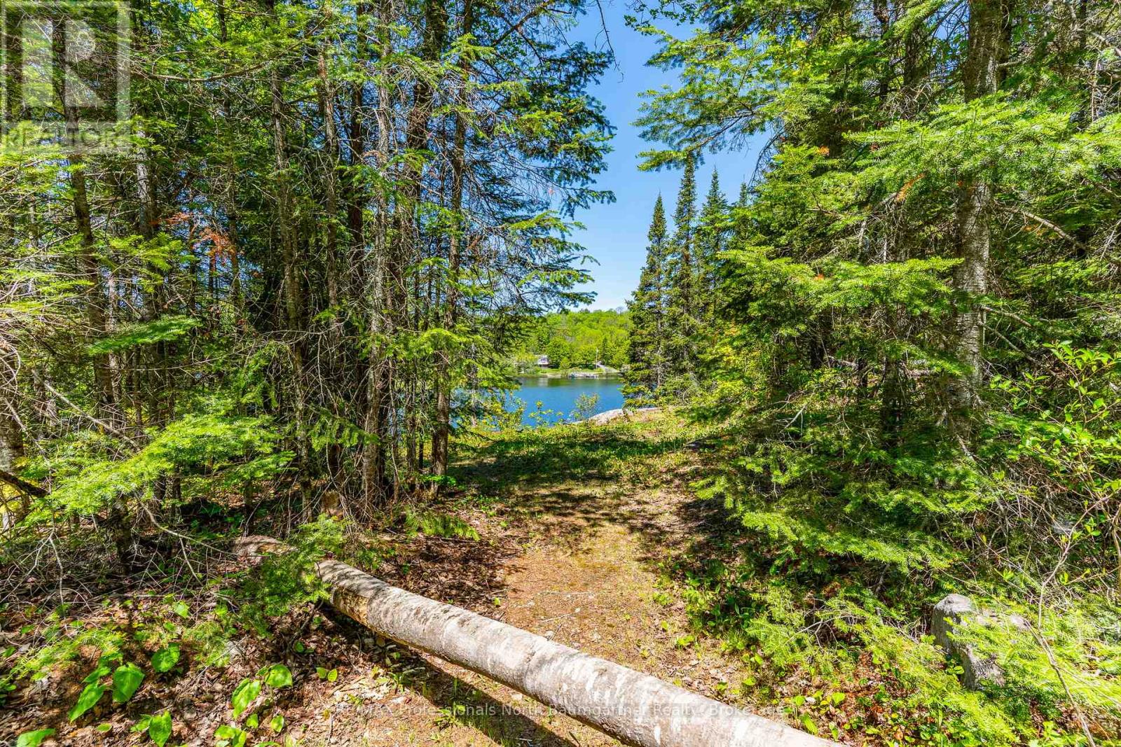 0 Brady Lake Road, Minden Hills, Ontario  K0M 2K0 - Photo 14 - X13129990
