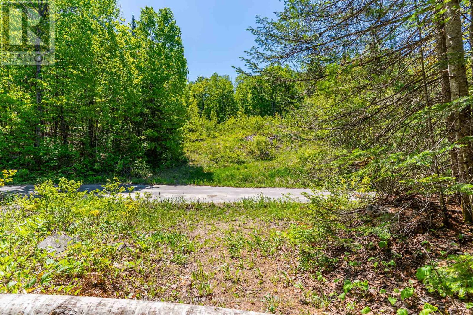 0 Brady Lake Road, Minden Hills, Ontario  K0M 2K0 - Photo 12 - X13129990
