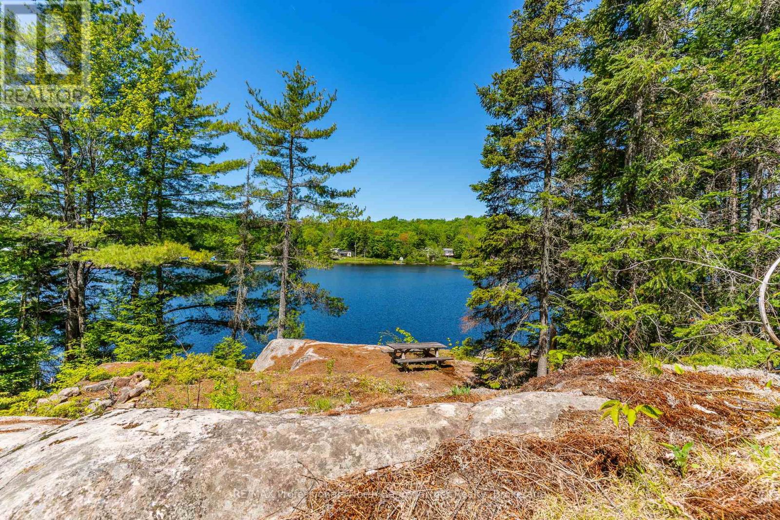 0 Brady Lake Road, Minden Hills, Ontario  K0M 2K0 - Photo 4 - X13129990