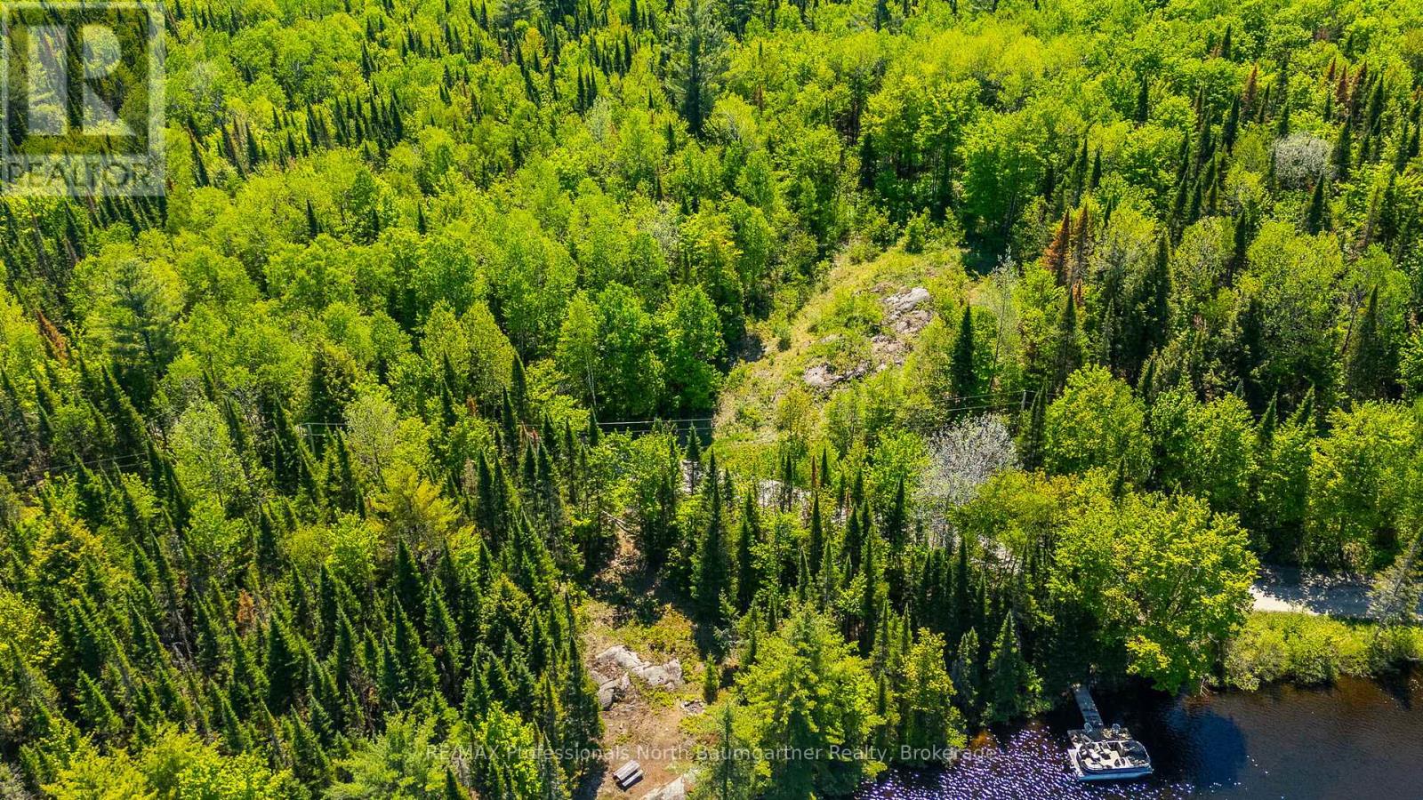 0 Brady Lake Road, Minden Hills, Ontario  K0M 2K0 - Photo 3 - X13129990