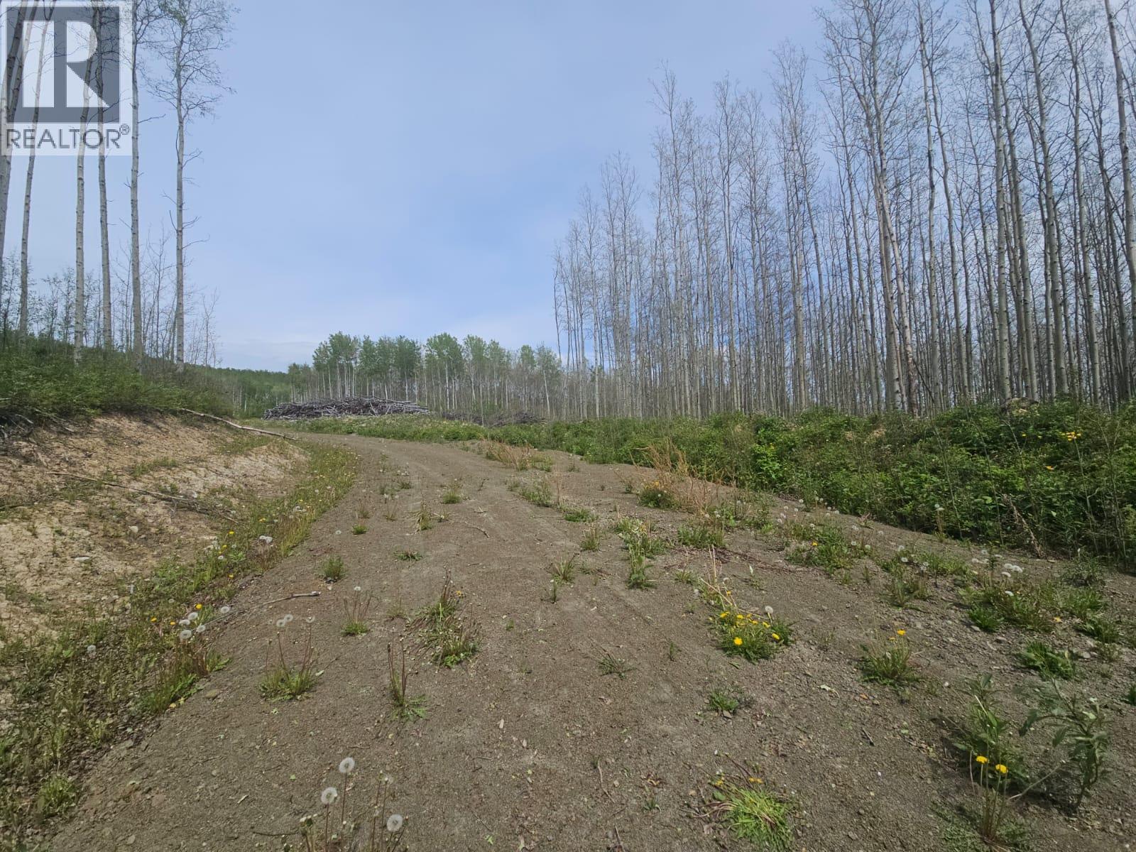 3875 Jackfish Lake Road, Chetwynd, British Columbia  V0C 1J0 - Photo 20 - 10390389
