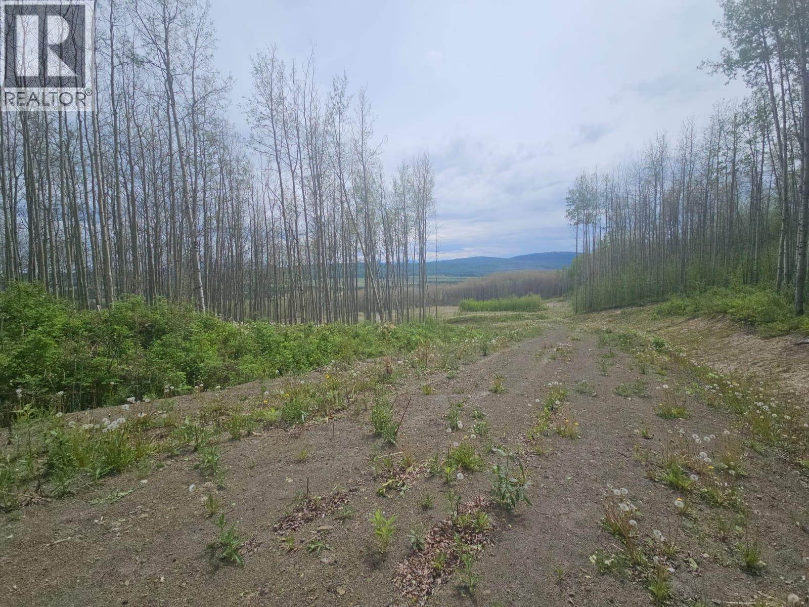 3875 Jackfish Lake Road, Chetwynd, British Columbia  V0C 1J0 - Photo 18 - 10390389