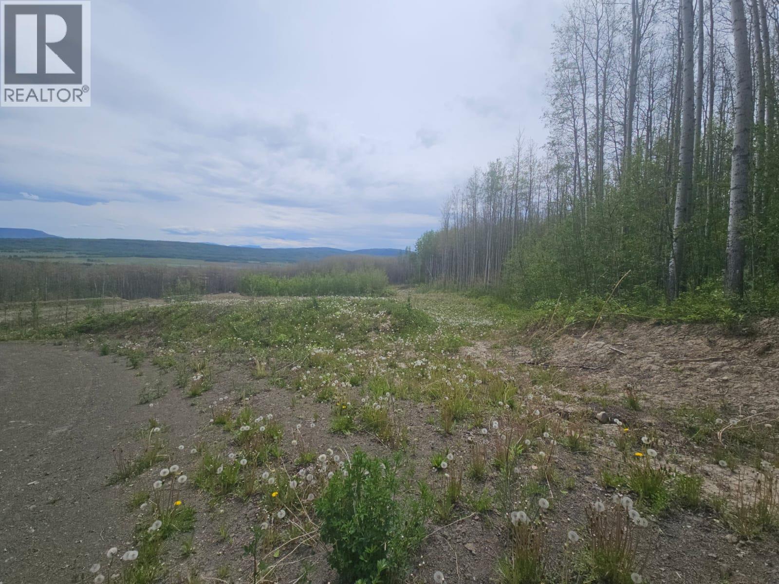3875 Jackfish Lake Road, Chetwynd, British Columbia  V0C 1J0 - Photo 13 - 10390389