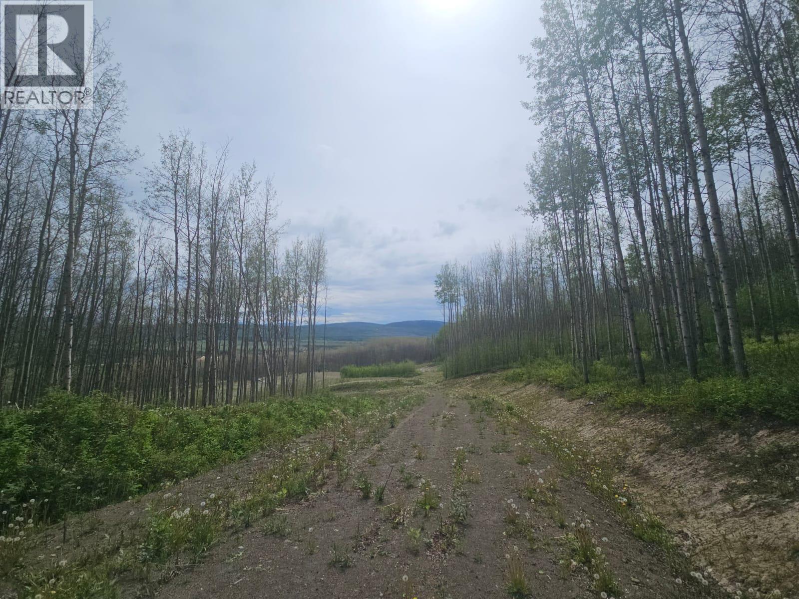 3875 Jackfish Lake Road, Chetwynd, British Columbia  V0C 1J0 - Photo 19 - 10390389