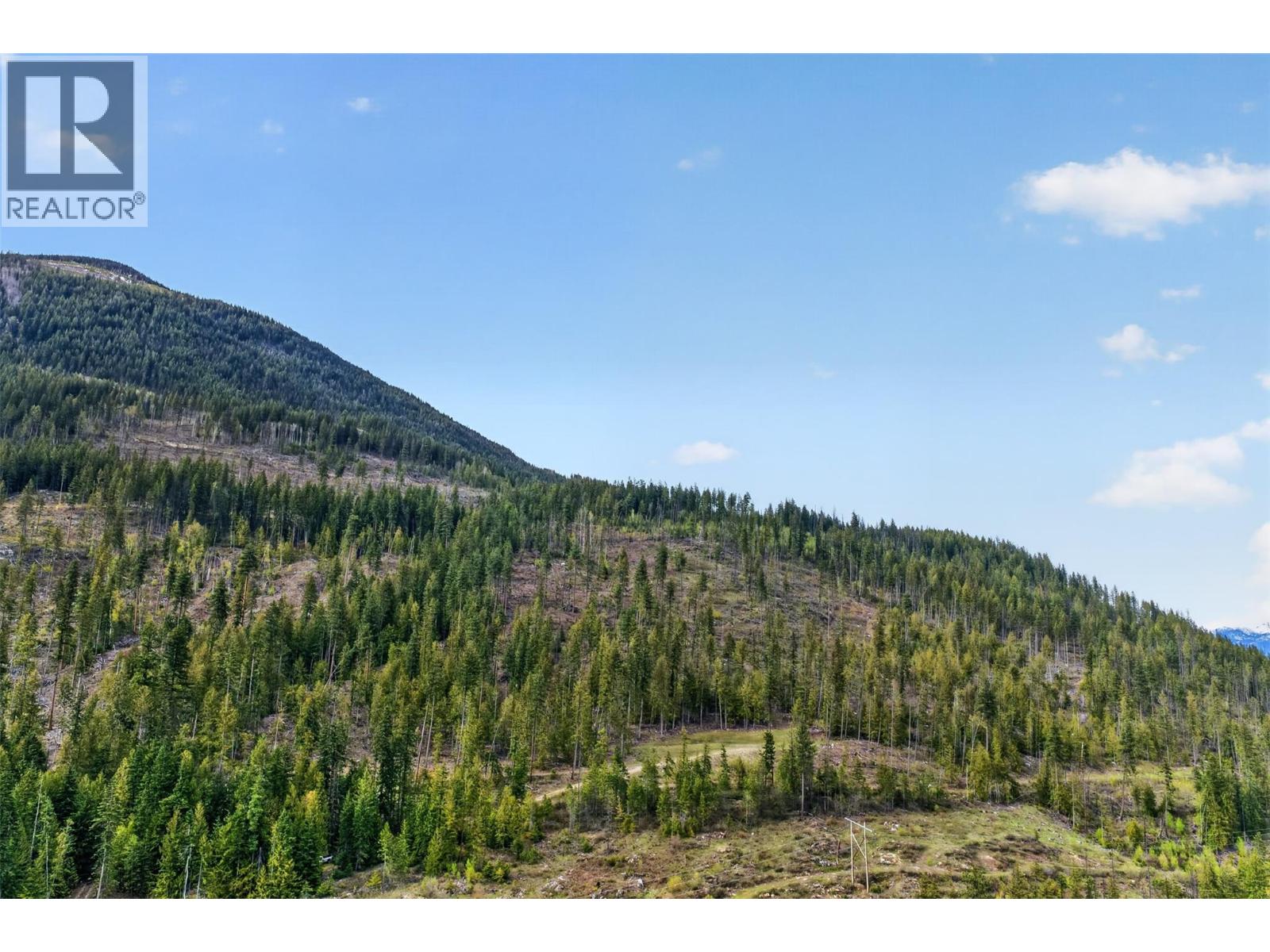 Dl 7620 Rogers Road, Balfour, British Columbia V0G 1C0 - Photo 14 - 10390339