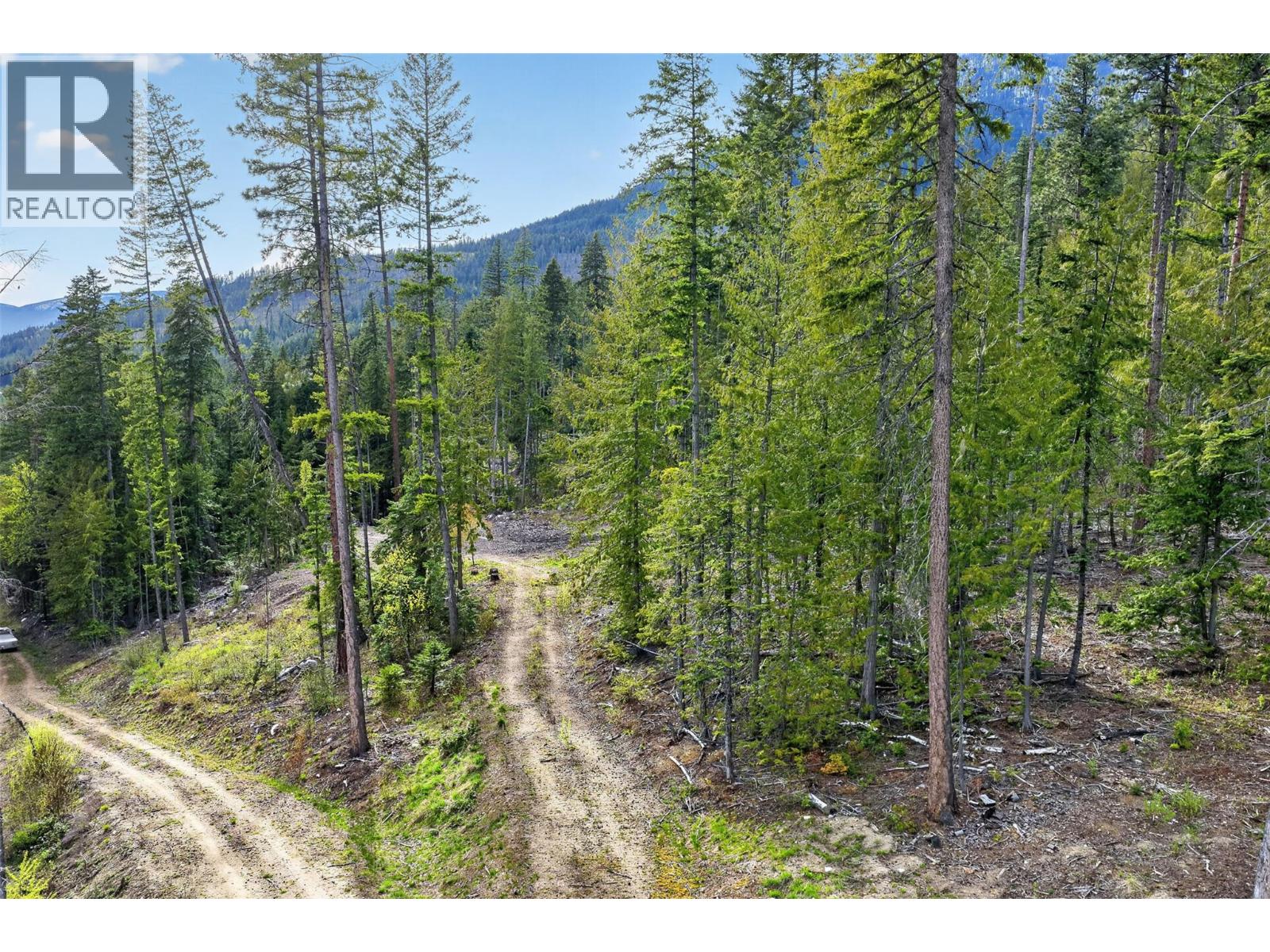 Dl 7620 Rogers Road, Balfour, British Columbia V0G 1C0 - Photo 20 - 10390339