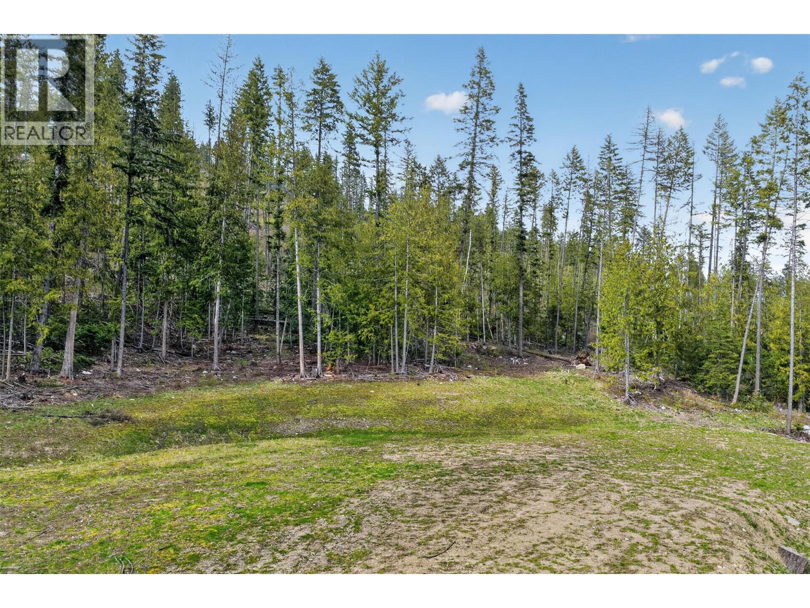 Dl 7620 Rogers Road, Balfour, British Columbia V0G 1C0 - Photo 7 - 10390339