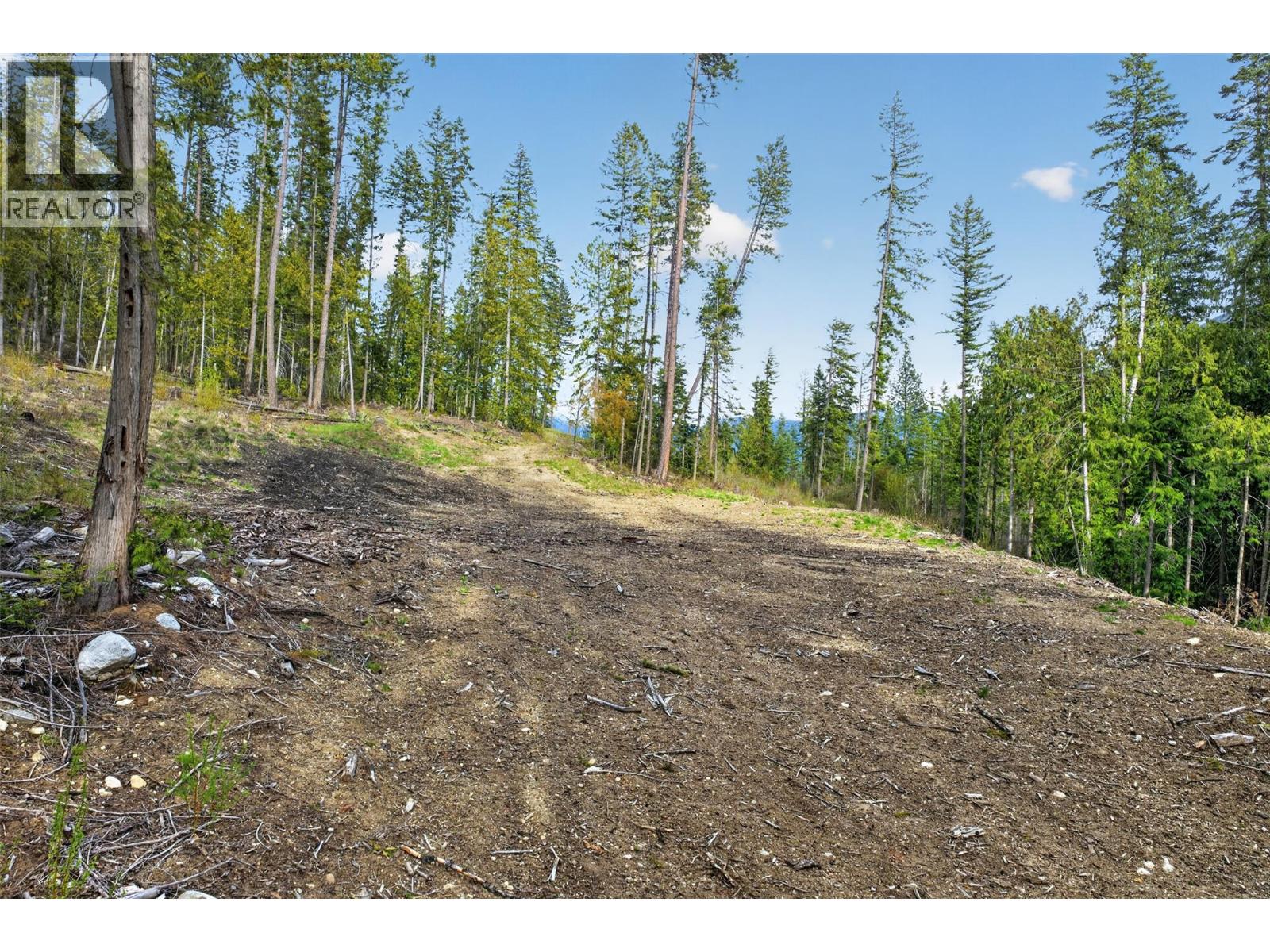 Dl 7620 Rogers Road, Balfour, British Columbia V0G 1C0 - Photo 9 - 10390339