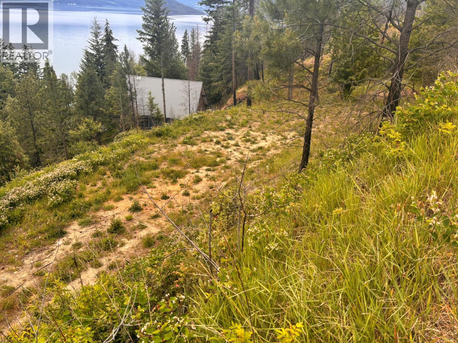 Lot 24 Hlina Road, Celista, British Columbia  V0E 1M6 - Photo 9 - 10386610