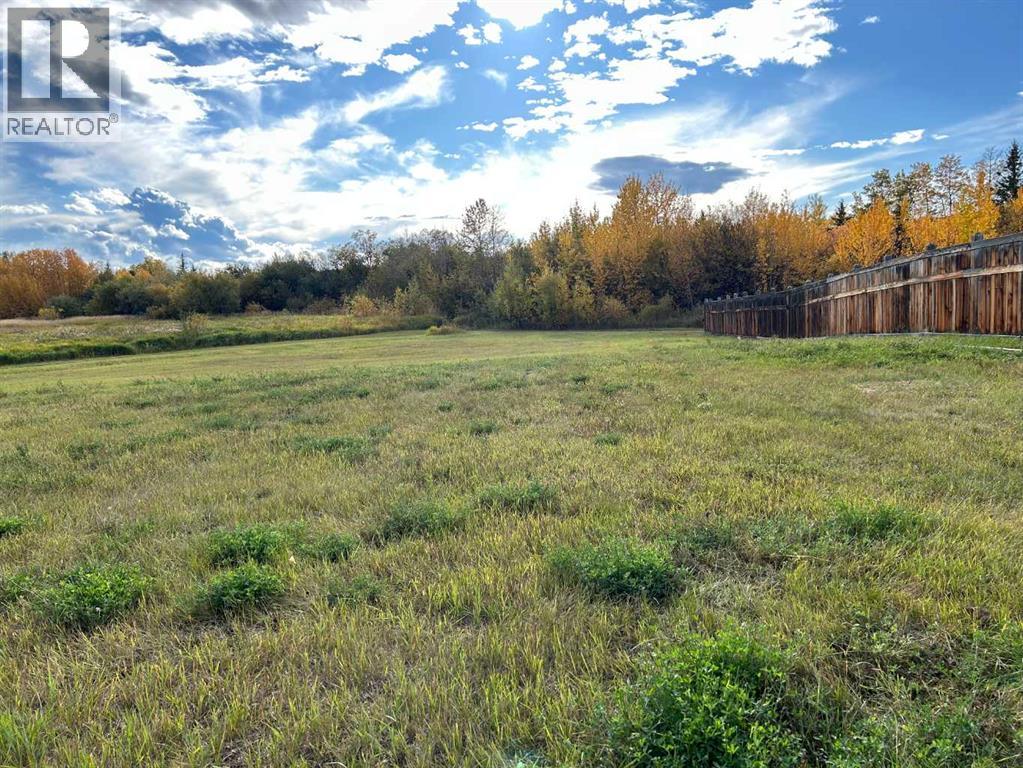 9033 59 Avenue, Grande Prairie, Alberta T8W 0K1 - Photo 2 - A2312432