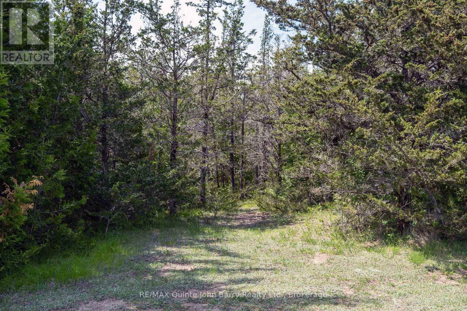 3249 Harmony Road, Tyendinaga, Ontario  K0K 3A0 - Photo 20 - X13266452